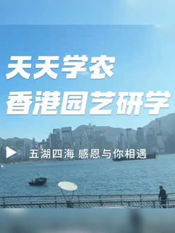 与香港园艺学会联合举办香港园艺研学，专业园境师带队讲解。